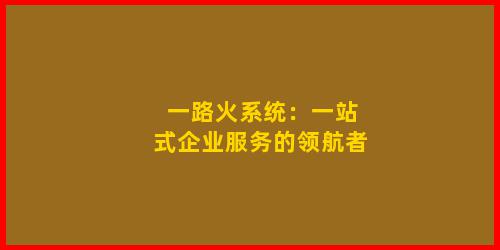 一路火系统：一站式企业服务的领航者