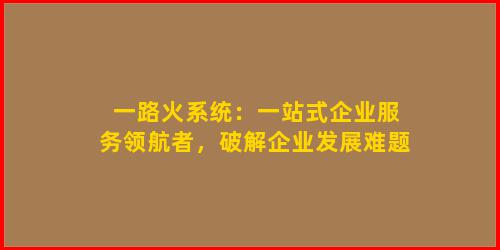 一路火系统：一站式企业服务领航者，破解企业发展难题