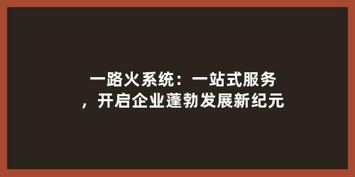 一路火系统：一站式服务，开启企业蓬勃发展新纪元