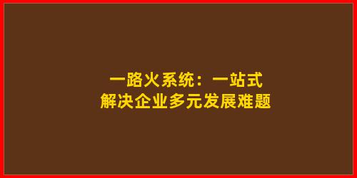 一路火系统：一站式解决企业多元发展难题