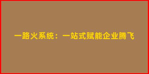 一路火系统：一站式赋能企业腾飞