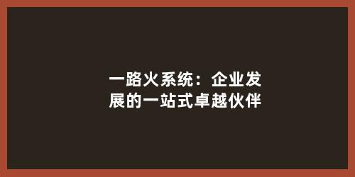 一路火系统：企业发展的一站式卓越伙伴