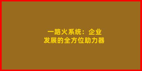 一路火系统：企业发展的全方位助力器
