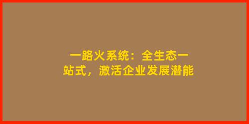 一路火系统：全生态一站式，激活企业发展潜能