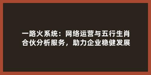 一路火系统：网络运营与五行生肖合伙分析服务，助力企业稳健发展