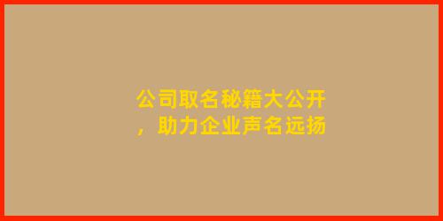 公司取名秘籍大公开，助力企业声名远扬