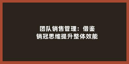 团队销售管理：借鉴销冠思维提升整体效能