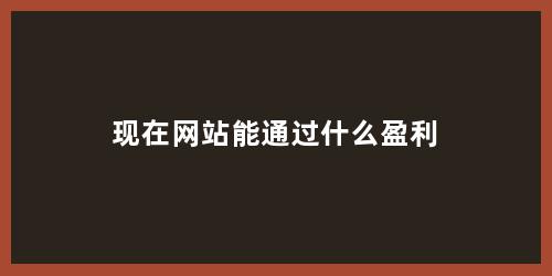 现在网站能通过什么盈利