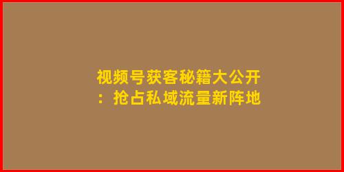 视频号获客秘籍大公开：抢占私域流量新阵地