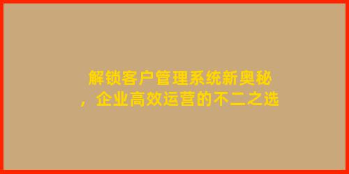 解锁客户管理系统新奥秘，企业高效运营的不二之选