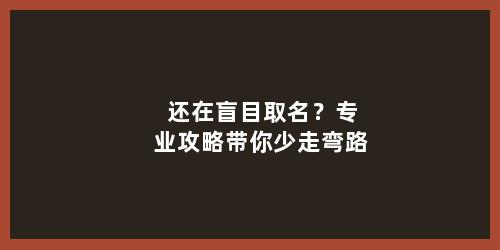 还在盲目取名？专业攻略带你少走弯路