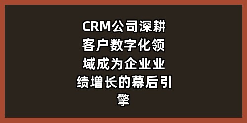 CRM公司：深耕客户数字化领域，成为企业业绩增长的幕后引擎