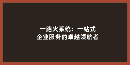 一路火系统：一站式企业服务的卓越领航者