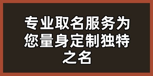 专业取名服务：为您量身定制独特之名