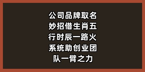 公司品牌取名妙招：借生肖五行时辰，一路火系统助创业团队一臂之力