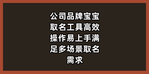 公司品牌宝宝取名工具：高效操作易上手，满足多场景取名需求