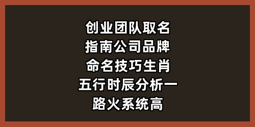 创业团队取名指南：公司/品牌命名技巧+生肖五行时辰分析，一路火系统高效搞定