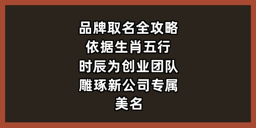 品牌取名全攻略：依据生肖五行时辰，为创业团队雕琢新公司专属美名