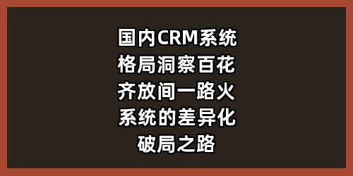 国内CRM系统格局洞察：百花齐放间，一路火系统的差异化破局之路