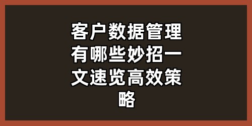 客户数据管理有哪些妙招？一文速览高效策略