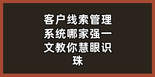 客户线索管理系统哪家强？一文教你慧眼识珠