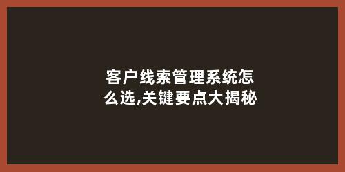 客户线索管理系统怎么选,关键要点大揭秘