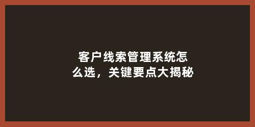 客户线索管理系统怎么选，关键要点大揭秘