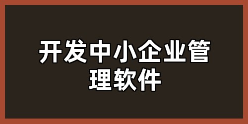 开发中小企业管理软件