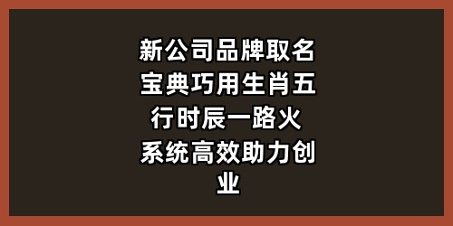 新公司品牌取名宝典：巧用生肖五行时辰，一路火系统高效助力创业