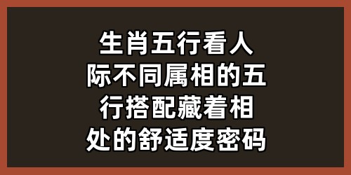生肖五行看人际：不同属相的五行搭配，藏着相处的舒适度密码》
