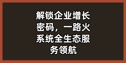 解锁企业增长密码，一路火系统全生态服务领航