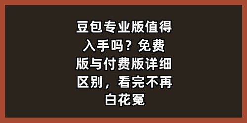 豆包专业版值得入手吗？免费版与付费版详细区别，看完不再白花冤枉钱