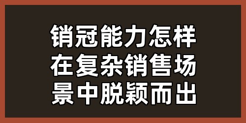 销冠能力：怎样在复杂销售场景中脱颖而出