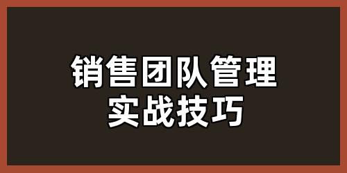 销售团队管理实战技巧